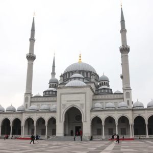 تشریفات یادبود خدمات رزرو مساجد در مشهد احمدآباد